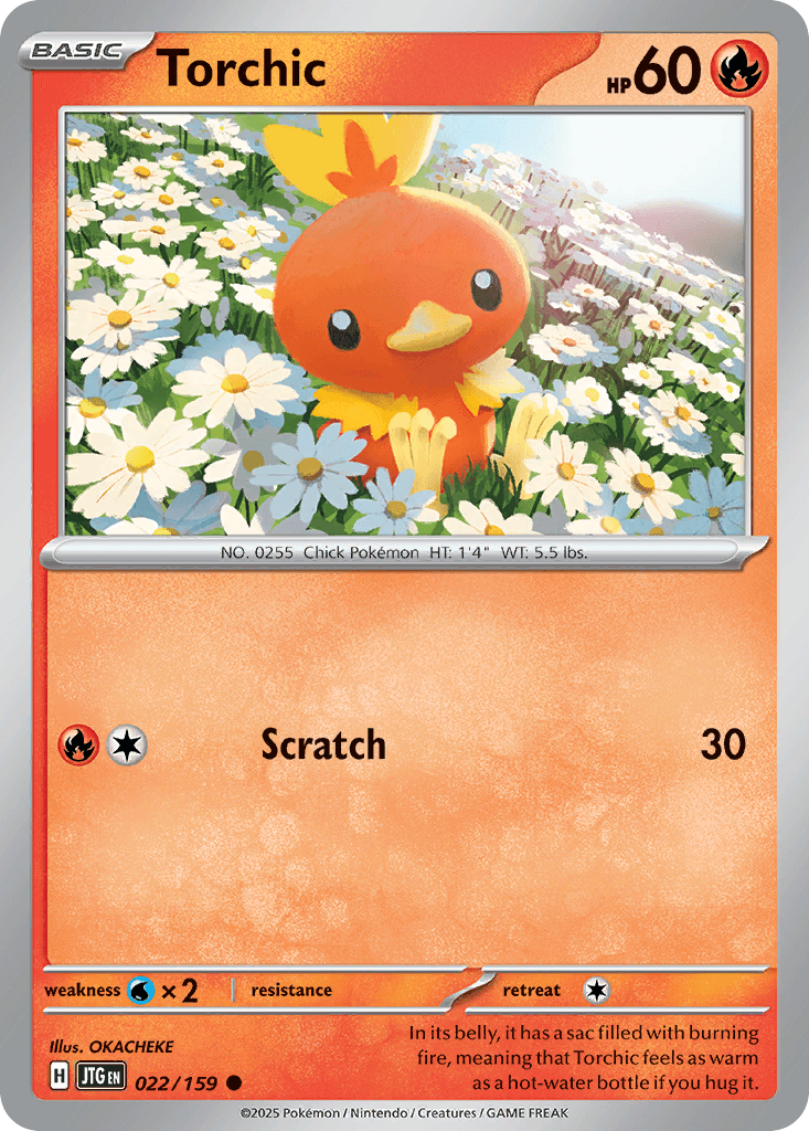 Torchic