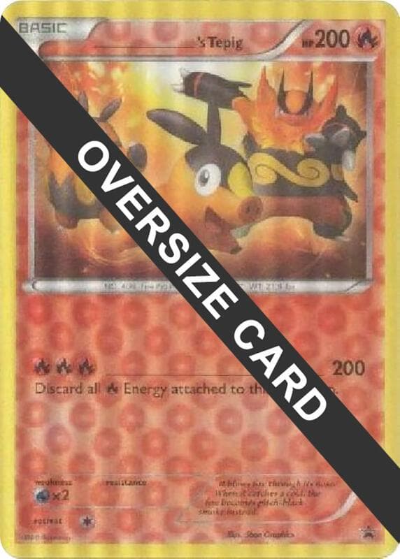______'s Tepig