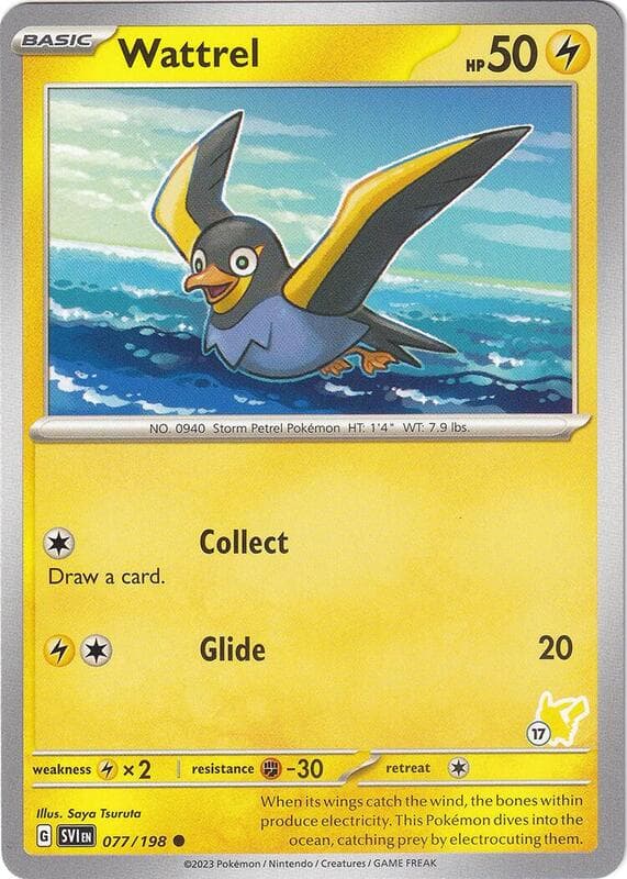 Wattrel - Pikachu